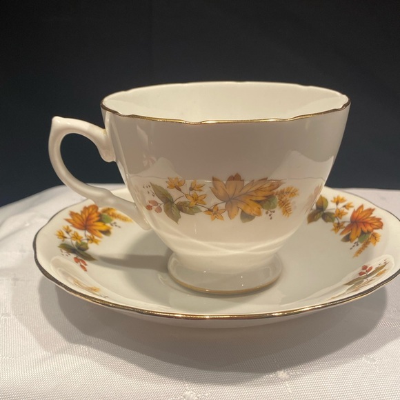Queen Anne Teacup and Saucer, Ridgway Potteries,Fall Autumn, English Bone China - Picture 3 of 9